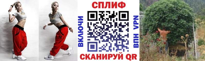Как найти наркотики Дыгулыбгей Кокаин Амфетамин Конопля