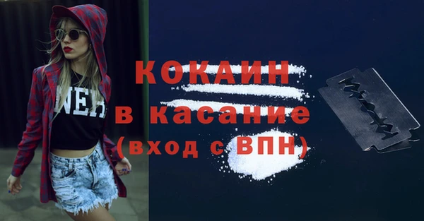 ECSTASY Алзамай