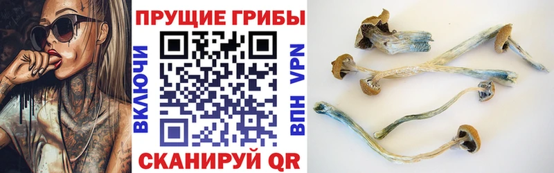Галлюциногенные грибы мухоморы  цена наркотик  Дыгулыбгей 